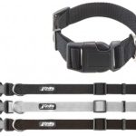 873114 Crufts Dog Collar Large